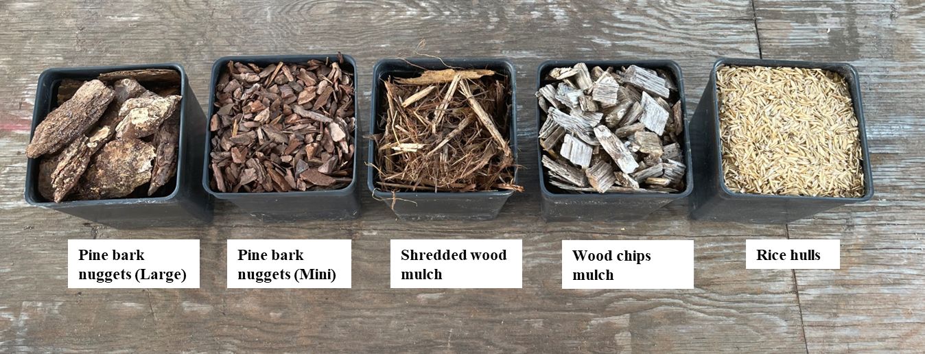 Commonly used mulch materials in container plant production.