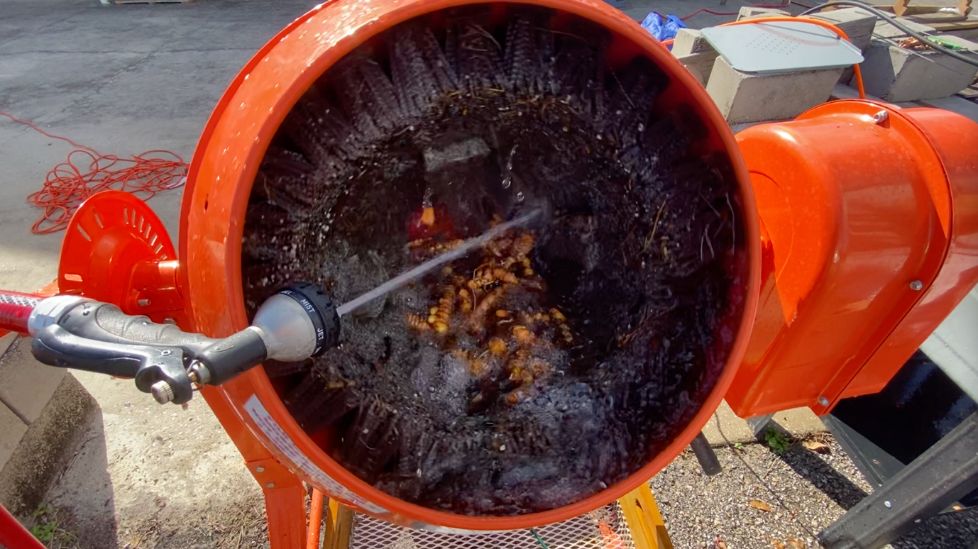 Barrel washer of rhizomes spinning while filling with water from hose attached on the left of it.