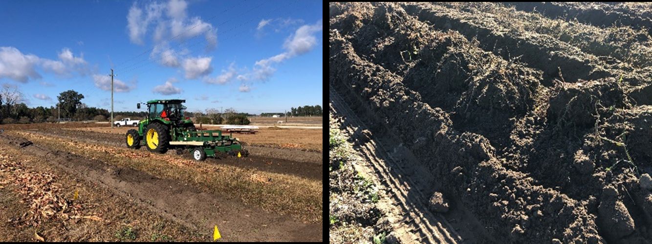 (Left) Tractor driving over soil; (right) close-up of overturned soil that reveals rhizomes and roots underneath.