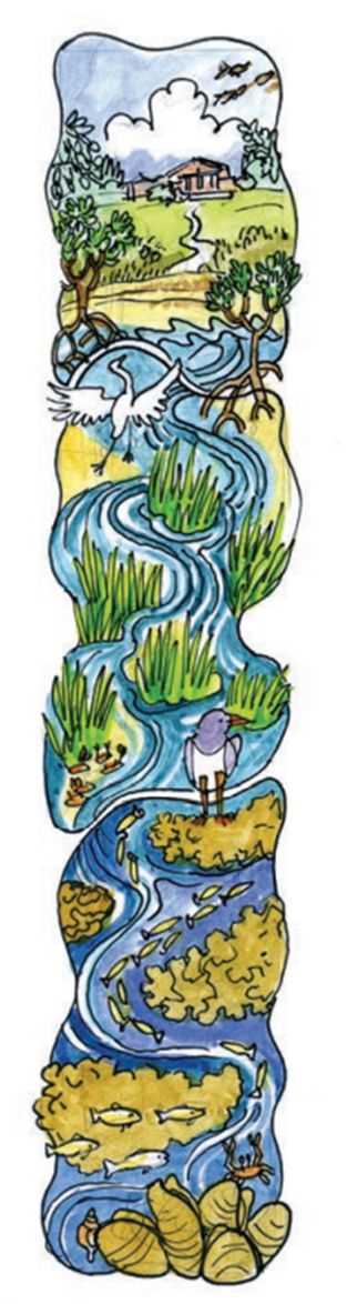 Illustrative roadmap following a farmhouse to the shore of a water body, through mangroves, sea grass, and two other living sea walls.