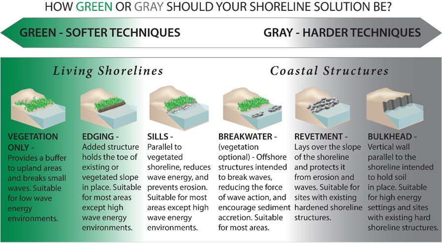 Infographic charting techniques in a range from greener/softer to grayer/harder, shown from left to right: Living shorelines like vegetation, edging, and sills, then coastal structures like breakwater, revetment, and bulkhead.