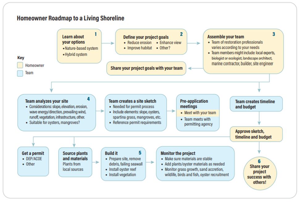 Roadmap graphic for the roles of the team throughout a living shoreline project. Steps numbered 1 through 6 are detailed in this publication. 