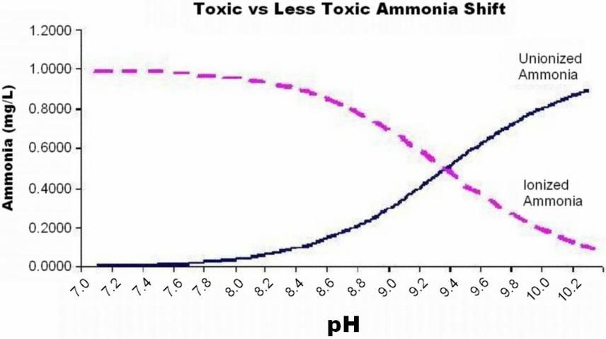 Figure 3. Example of pH-induced shifts between unionized (toxic) and ionized (less toxic) forms of ammonia.