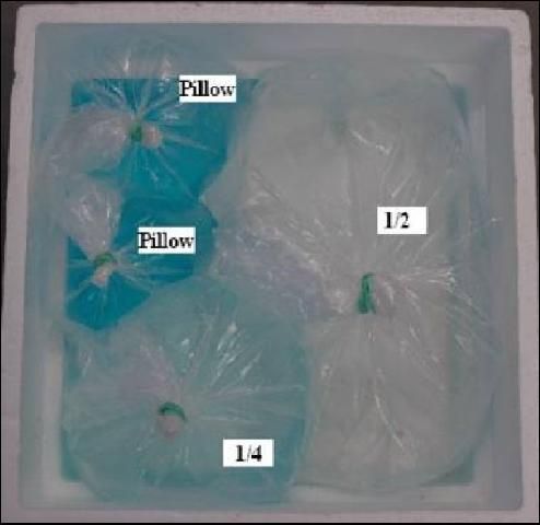 Figure 3. Pillow and square-bottom shipping bags in box.