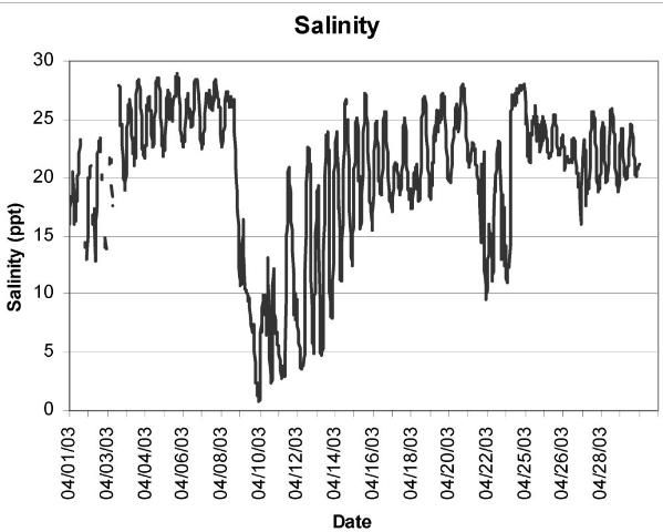 Figure 1. Example of dramatic decline in salinity at the Gulf Jackson, Florida, lease area, Levy County, in April 2003.