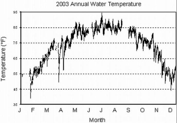 Figure 1. Water temperature fluctuation at the Gulf Jackson lease area, Levy County, Florida, in 2003.