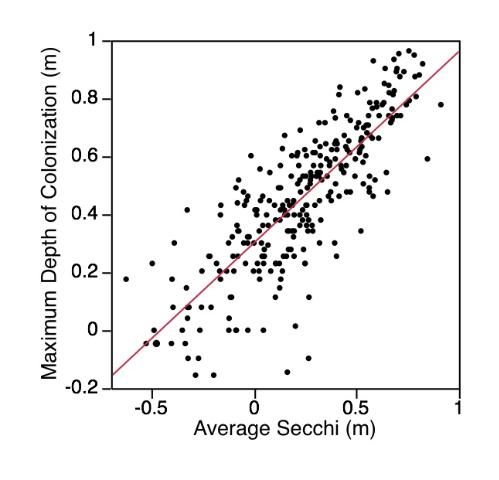 Figure 8. Relationship between maximum depth of aquatic plant colonization and Secchi Depth for 279 Florida lakes.