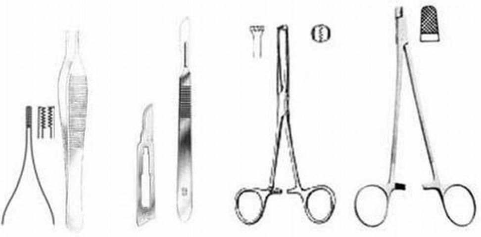 Figure 4. Recommended tools for performing minimally invasive surgery to determine the sex in sturgeon include a set of Adson-Brown tissue forceps, scalpel no. 3 with either a no. 15 or 10 blade, Allis tissue forceps, and a surgical needle holder with a pair of heavy grasping jaws.