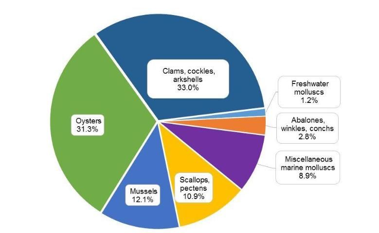 Figure 1. The percentage of aquaculture production (15.2 million metric tonnes) for the major molluscan species groups in 2012 worldwide.