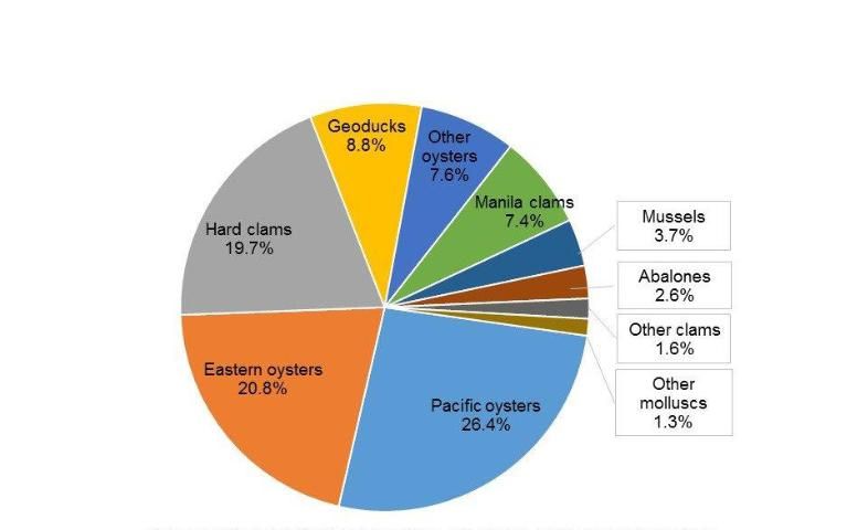 Figure 4. The proportion of aquaculture sales value for the major molluscan species groups in the United States in 2013.