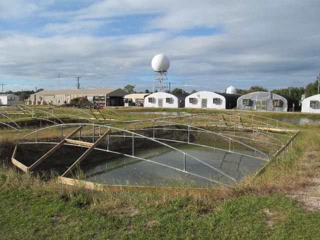 Figure 2. A certified aquaculture facility in Hillsborough County. A pond with support structures to hold bird netting can be seen in the foreground; greenhouses can be seen in the background.