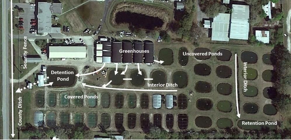 Figure 1. Representative fish farm layout. Water flow direction is indicated by arrows. Effluent from buildings and greenhouses flows into an interior ditch that empties into a detention pond. The detention pond discharges to the county ditch, the only surface water connection between the farm and the outside environment. Ponds are periodically dewatered by pumping into one of the interior ditches. The facility has security fencing, locked gates, and security lighting.