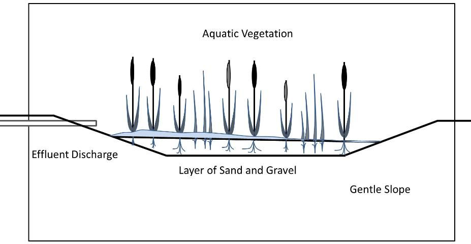 Figure 8. Constructed wetland used in the capture of sediment, aquaculture wastes, and non-native organisms. Constructed wetlands typically have a basement sediment layer of sand and gravel to increase permeability, are heavily vegetated with wetland plants (cattails, grasses, and sedges), and have a gentle slope. These structures can vary from zero discharge to high discharge depending upon size and discharge from the aquaculture facility.