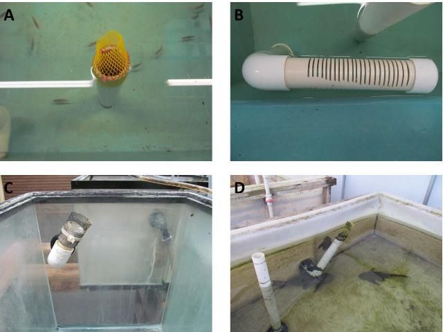 Figure 2. Various types of mesh screens used on aquaculture facilities in Florida. Screens include typical ¼ inch mesh on small vats (A), slotted PVC screen (B), fine mesh for holding livebearers in aquaria (C), and ¼ inch mesh on large vat with stand pipe when mesh becomes clogged (D).
