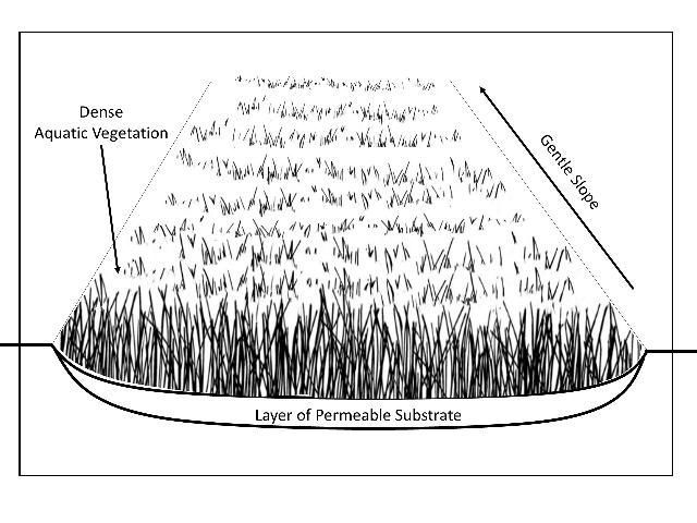 Figure 7. Vegetated swale used in the capture of sediments and aquaculture wastes. These structures are typically underlain by a permeable substrate layer, exhibit a dense layer of vegetation to slow the water flow, and also exhibit a gentle surface slope.