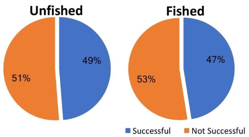Figure 6. The proportion of adult Florida bass that contributed successfully to reproduction based on data from experimental populations subject to a control (unfished) or bed fishing treatment (fished).