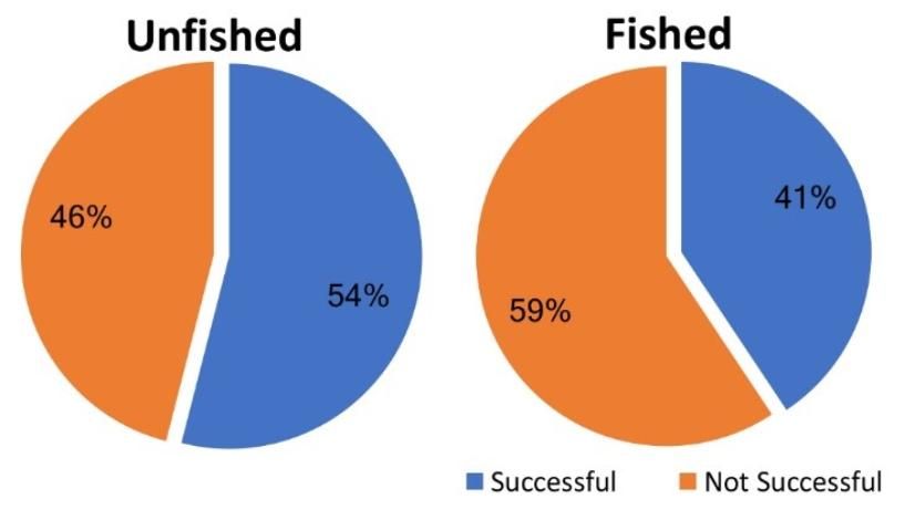 Figure 5. The proportion of successful Florida bass nests in experimental populations subject to a control (unfished) or bed fishing treatment (fished).