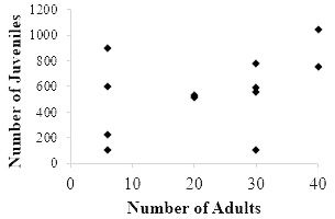 Figure 7. The number of juveniles produced across 12 experimental populations of Florida bass in which the number of adults was intentionally manipulated.