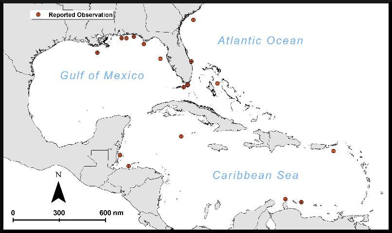 Figure 2. Locations in the Gulf of Mexico, Caribbean Sea, and Atlantic Ocean where observations of invasive lionfish Pterois volitans/miles with skin ulcers have been reported.