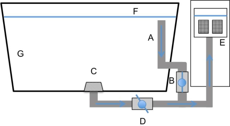 Figure 5. An upwelling pre-filter egg collector and culture tank holding the broodstock. A) skimmer pipe B) skimmer pipe valve C) bottom drain D) bottom drain valve E) egg collector basket with 500 μm nylon mesh screen F) water level G) culture tank containing broodstock. Arrows indicate direction of water flow.
