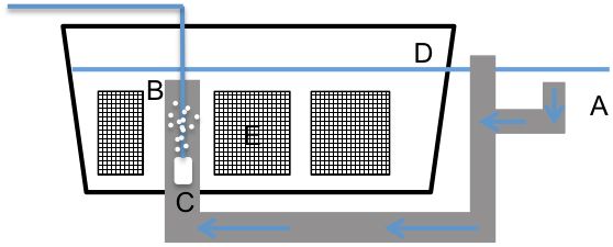 Figure 8. Floating airlift egg collector. A) skimmer intake B) standpipe with inflow of water C) air stone D) water level E) 500 μm nylon mesh screen F) air release pipe. Arrows indicate direction of water flow.
