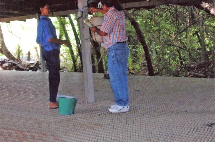 Figure 1. Commercial betta farm in Thailand. The people are standing on half-pint liquor bottles for male grow-out.