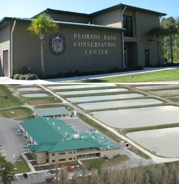 Figure 2. The Florida Bass Conservation Center, where nearly all of the fish for freshwater recreational stocking are raised.