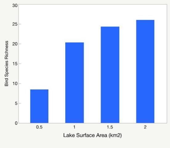 Figure 13. Relation between lake surface area and bird species richness estimated on 46 Florida lakes.