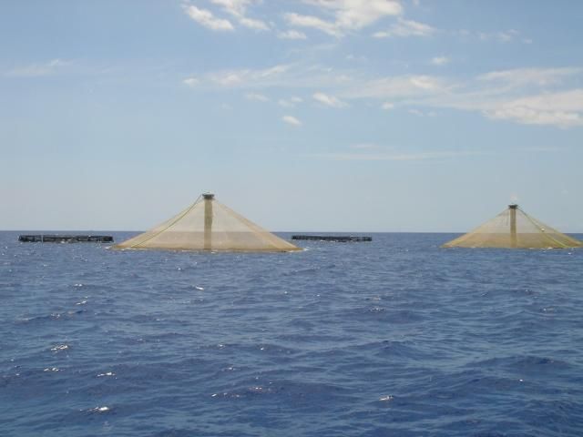 Figure 1. Offshore aquaculture almost always involves large net pens, as pictured here.