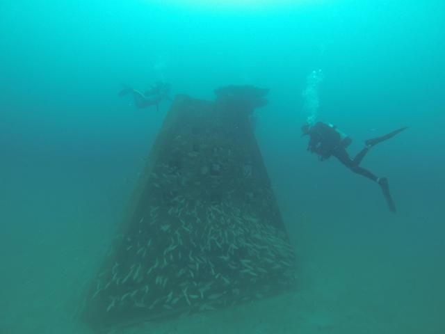Figure 1. Artificial reefs are popular with fish and people.