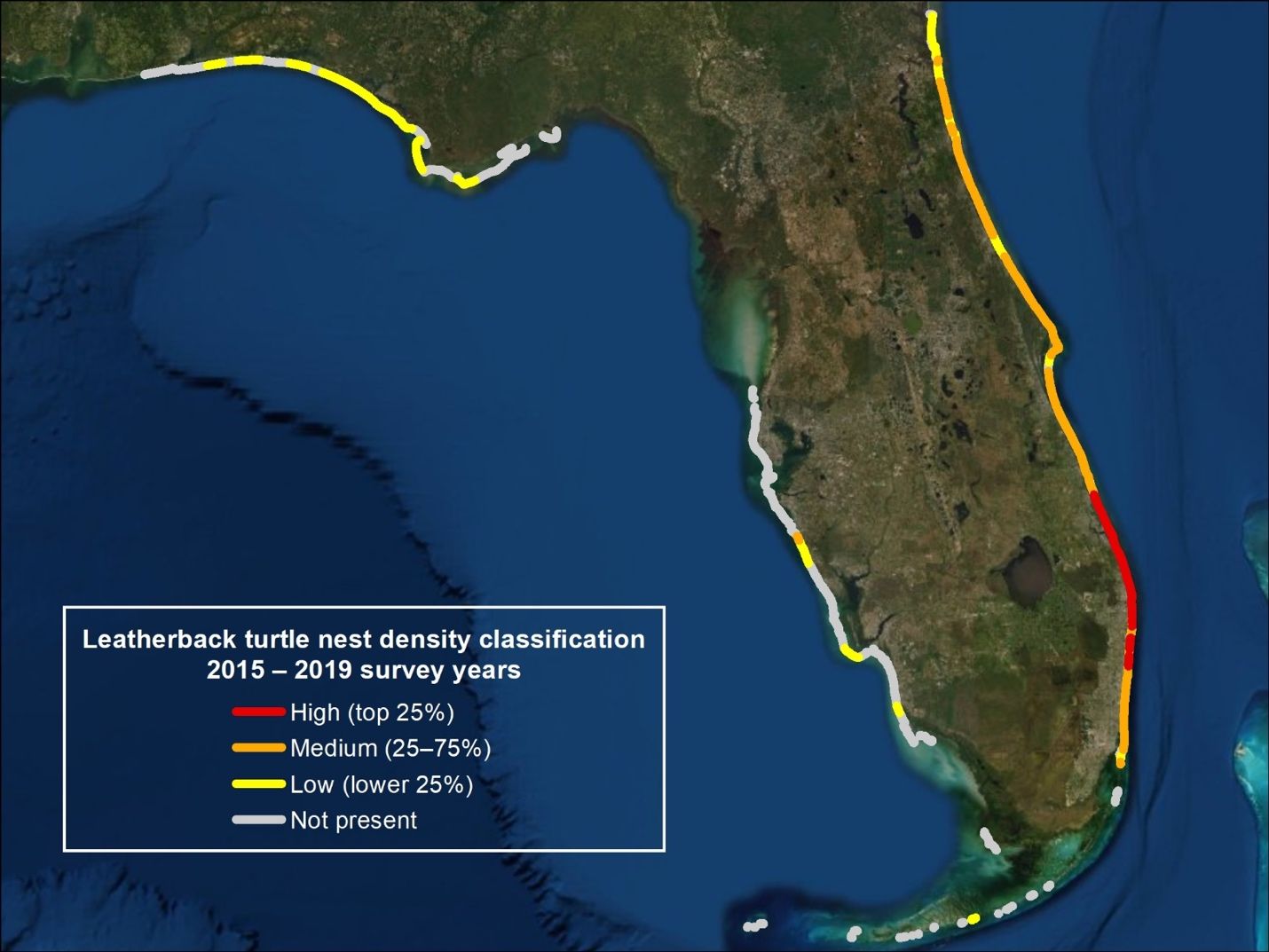 Leatherback nest density (measured in number of nests per kilometer of beach) in Florida during a recent five-year period (2015–2019). High-density beaches are those having the top 25 percent of density values (red); low-density beaches have the lowest 25 percent (yellow); and beaches with densities between these two categories are defined as medium-density beaches (orange). White indicates beaches where leatherbacks were not observed to have nested during the five-year period. 