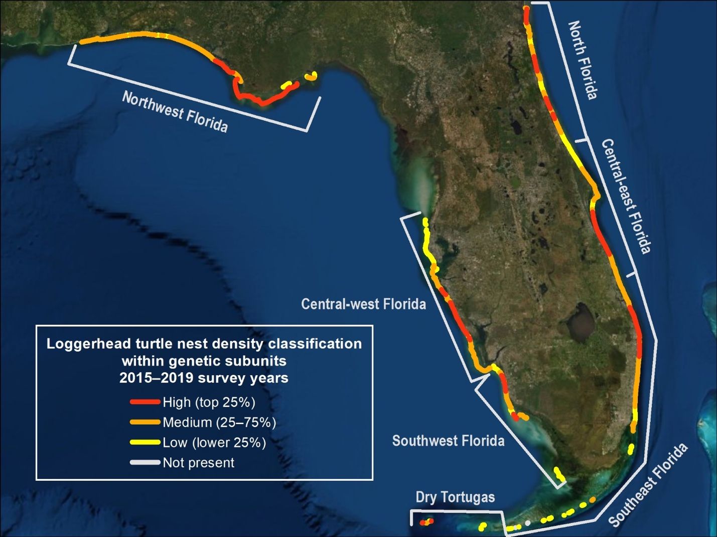 Loggerhead nest density (measured in number of nests per kilometer of beach) by genetic subunit in Florida during a recent five-year period (2015–2019). High-density beaches are those having the top 25 percent of density values (red); low-density beaches have the lowest 25 percent (yellow); and beaches with densities between these two categories are defined as medium-density beaches (orange). White indicates beaches where loggerhead turtles were not observed to have nested during the five-year period. The white brackets indicate the genetic subunits. 