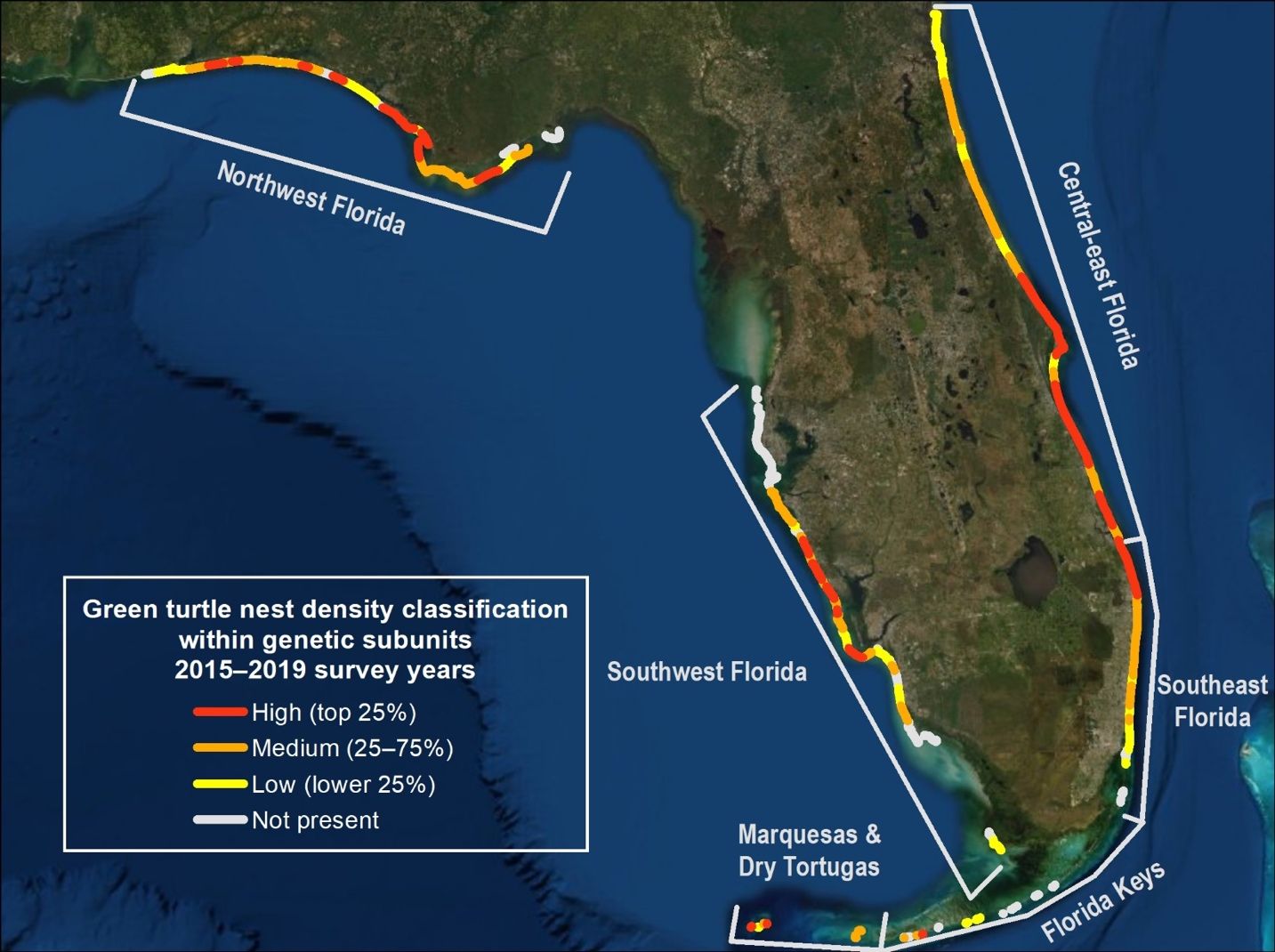 Green turtle nest density (measured in number of nests per kilometer of beach) by genetic subunit in Florida during a recent five-year period (2015–2019). High-density beaches are those having the top 25 percent of density values (red); low-density beaches have the lowest 25 percent (yellow); and beaches with densities between these two categories are defined as medium-density beaches (orange). White indicates beaches where green turtles were not observed to have nested during the five-year period. The white brackets indicate the genetic subunits. 