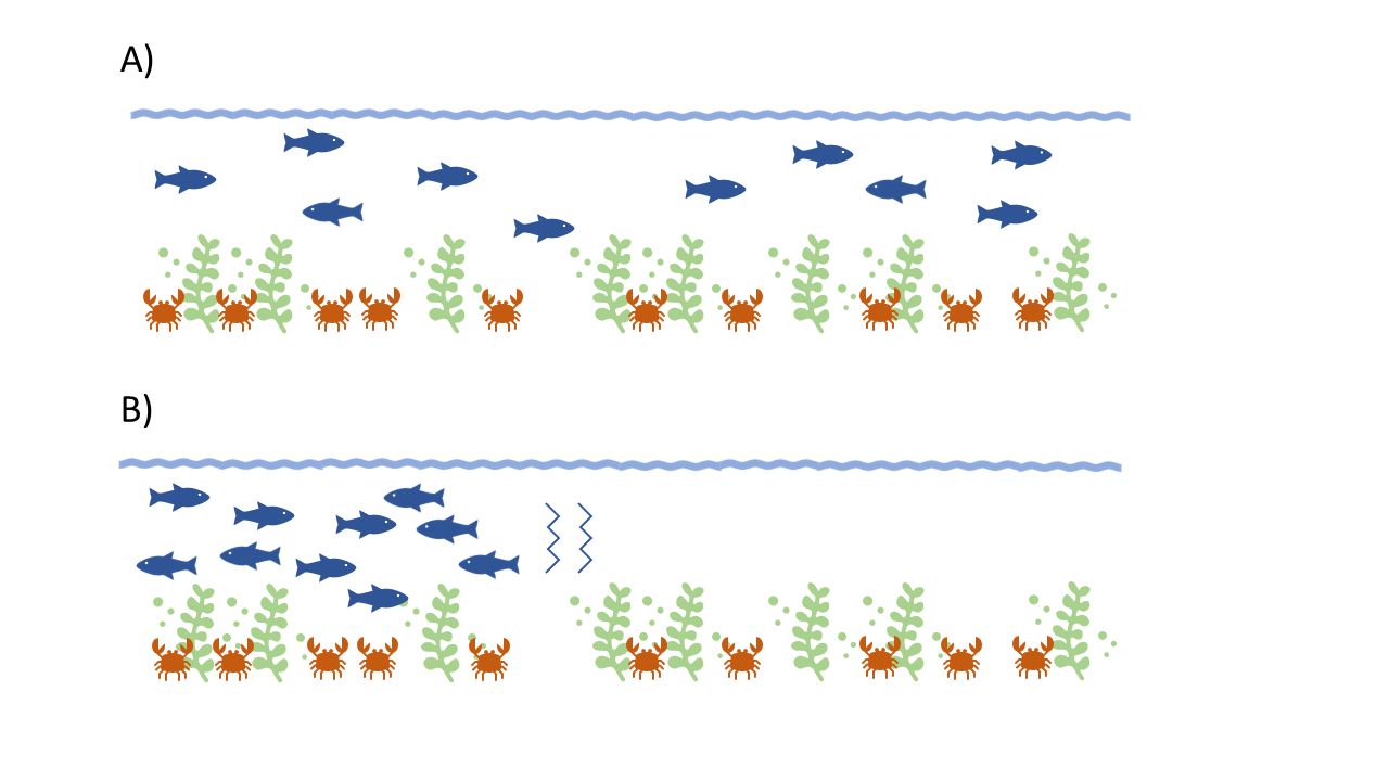 Density-dependent and density-independent factors can interact to affect survival and recruitment. A) Ten fish are able to freely swim throughout an estuary, and food resources are evenly available for each fish. B) A salinity increase in half of the estuary pushes the physiological tolerance of the fish, forcing the fish to all inhabit half of the previously available space, with only half of the food resources still accessible. Competition intensifies, and increased mortality follows. 
