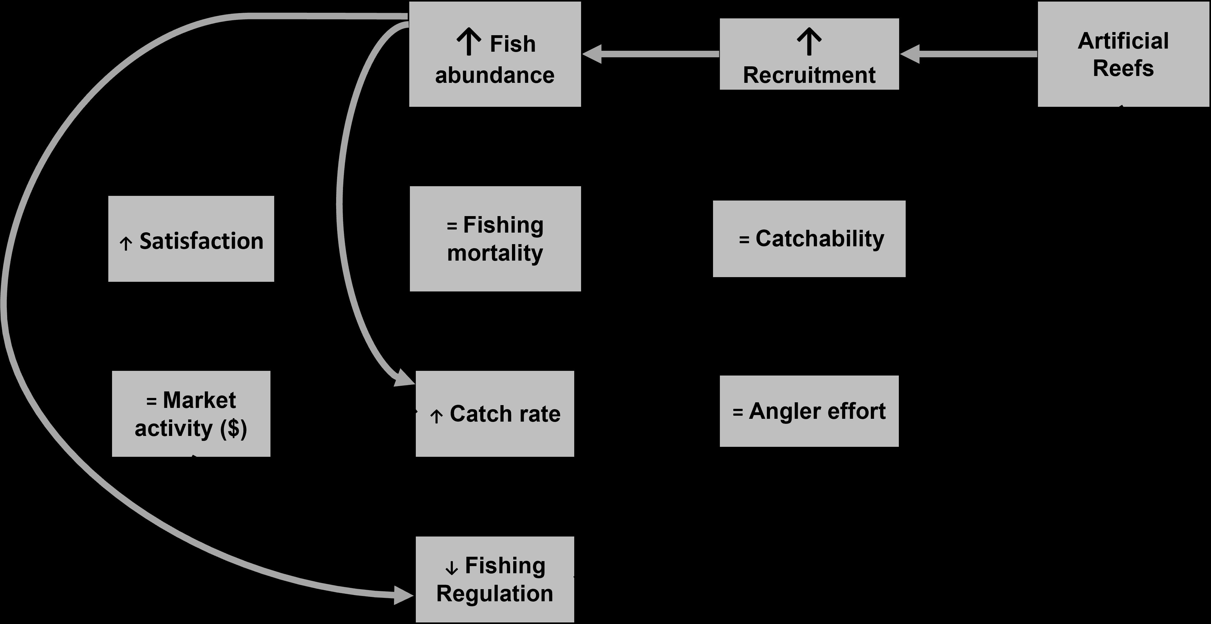 Example of how artificial reefs serve as good fish habitat but not good fishing spots. Fish abundance would increase through increased recruitment. This will likely happen if fishers do not fish at artificial reefs. The grey arrows at the very top are fish effects, and the black arrows are fisher effects. The up arrows in the boxes show an increase in a metric, the down arrow shows a decrease in a metric, and a “=” shows no change. Within the boxes, a large arrow shows a larger change, and a small arrow shows a smaller change. What this figure shows is that if artificial reefs only affected fish and not fishers, there would be some positive ecological effects and limited socioeconomic effects (satisfaction but not market activity would increase).