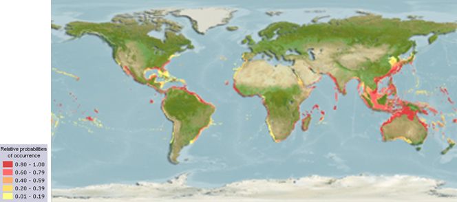 Distribution map for Seriola rivoliana.