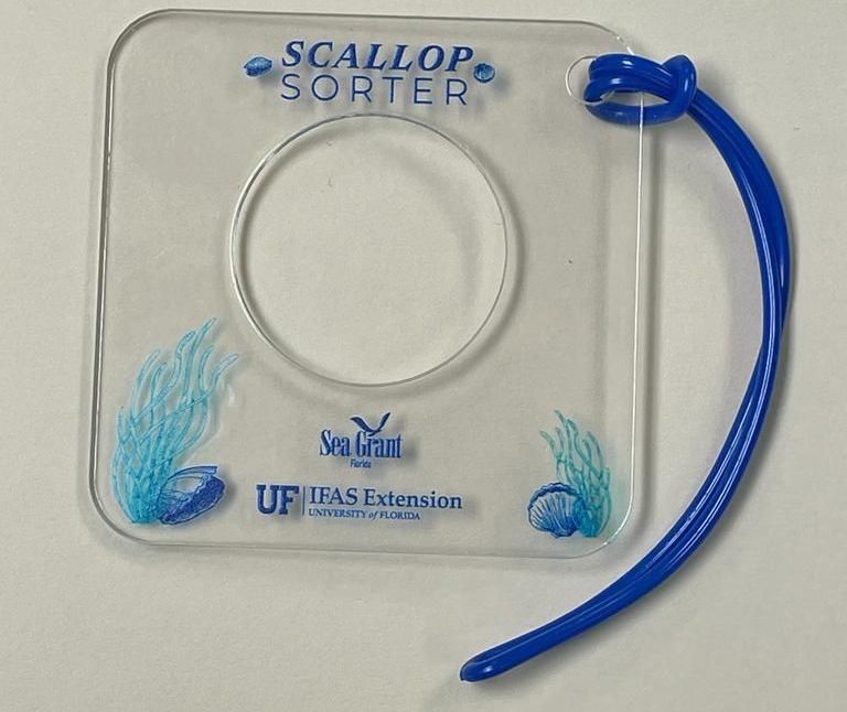 The Florida Sea Grant Scallop Sorter is a tool that recreational anglers may opt to use to select for larger scallops while underwater. 