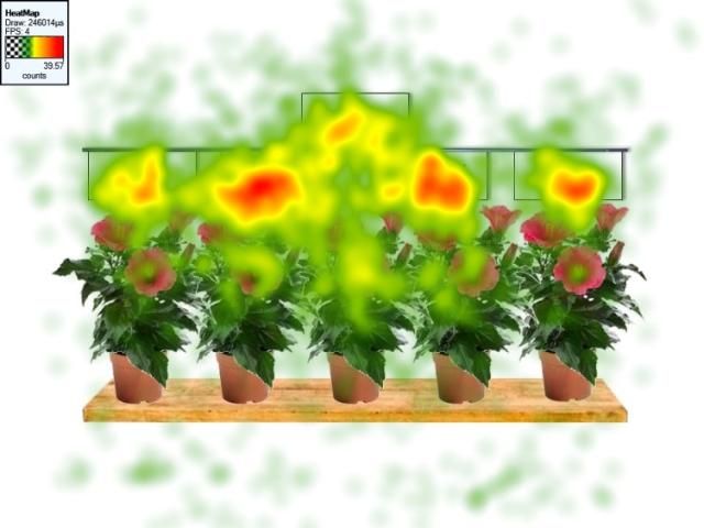 Figure 6. Heat map demonstrating visual attention (i.e., fixation count concentration) on the image [n=108] from Figure 1. (Note: Red coloration indicates areas of highest concentration, followed by yellow and green.)