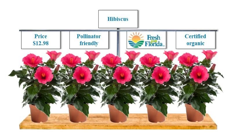 Figure 1. An example of a plant image used to evaluate consumer purchasing likelihood for ornamental landscape plants. (Note: Attribute sign order was randomized to reduce any order effect on eye movements. The attribute sign text color [i.e., blue] was selected to match the Fresh from Florida logo to improve visual consistency.)