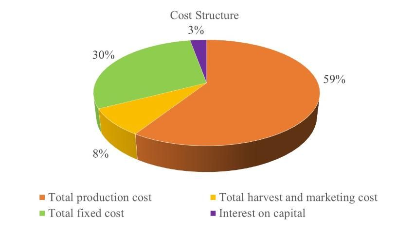 Figure 3. Total cost of sapodilla production in south Florida