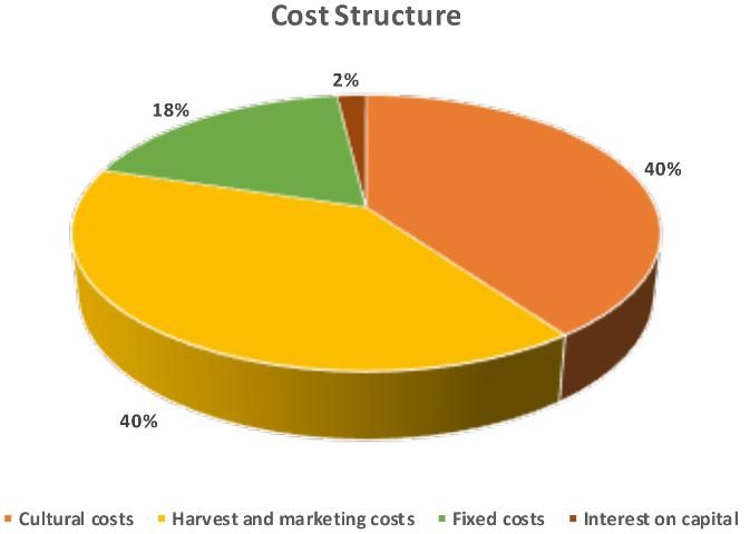 Figure 1. Proportion of costs.