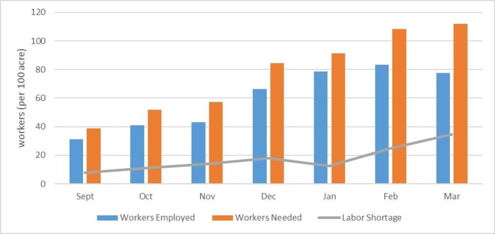 Figure 1. Labor demand, supply, and shortages during the 2014/15 strawberry season.