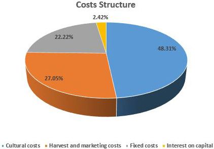 Figure 2. Proportion of costs.