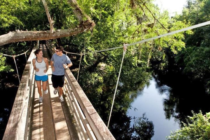 Figure 5. Two runners crossing a bridge over the Hillsborough River in Hillsborough River State Park.