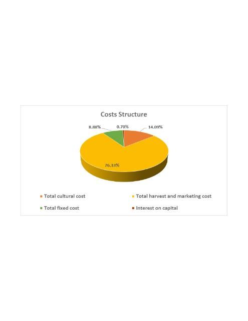 Figure 3. Proportion of costs.