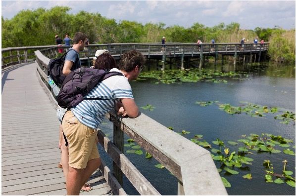 Tourists on a boardwalk at Everglades National Park. 