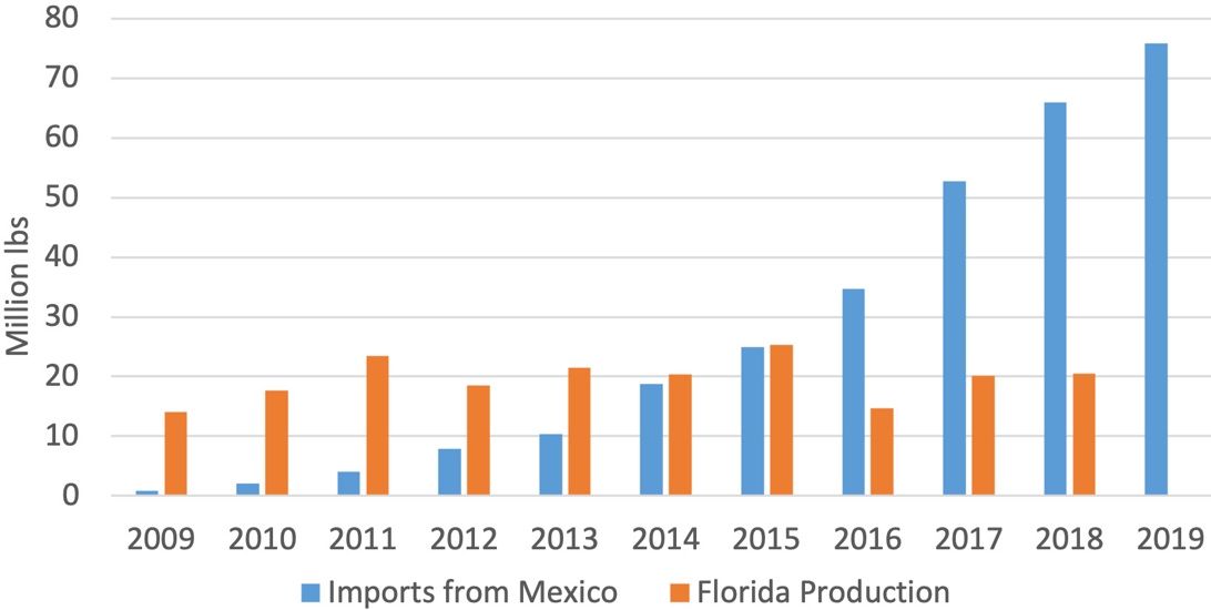 US Blueberry Imports from Mexico and Florida Production, 2009–2019 