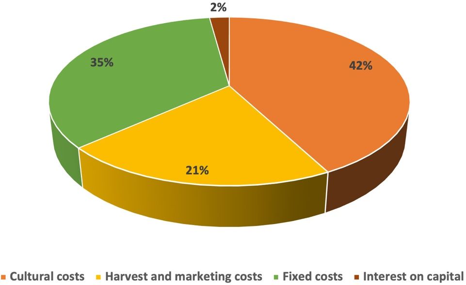 Division of costs associated with mango production in south Florida.