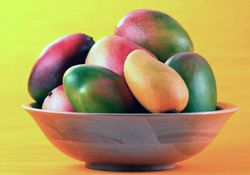 Image result for mango usda ars