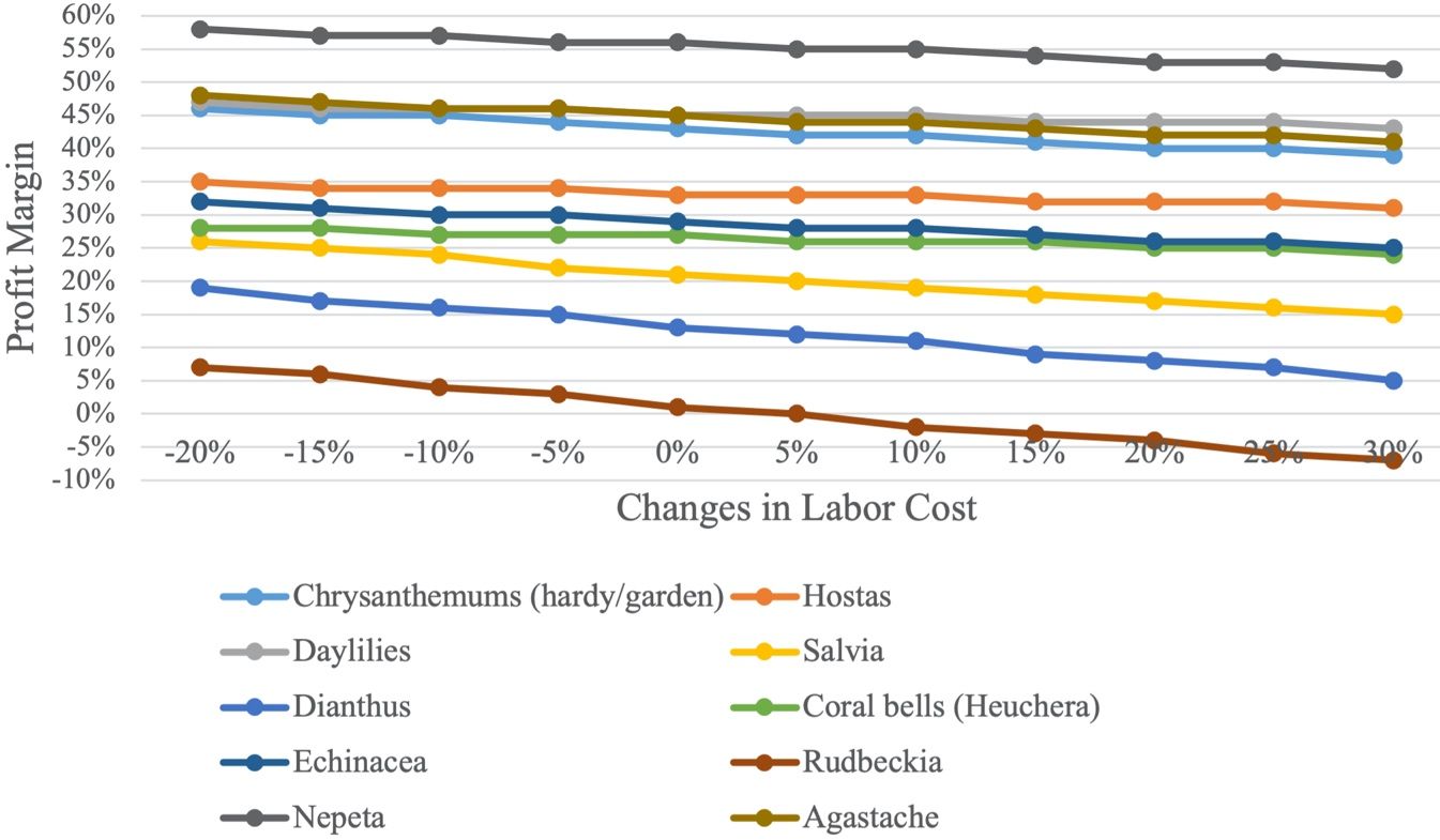 Profit margin sensitivity analysis: Labor cost change scenario. 